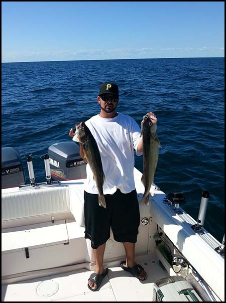 lake erie walleye picture